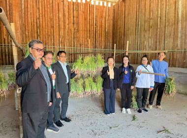 สหกรณ์การเกษตรกุดชุม ผนึกกำลังเชื่อมโยงหอมแดงศรีสะเกษ ... Image 1